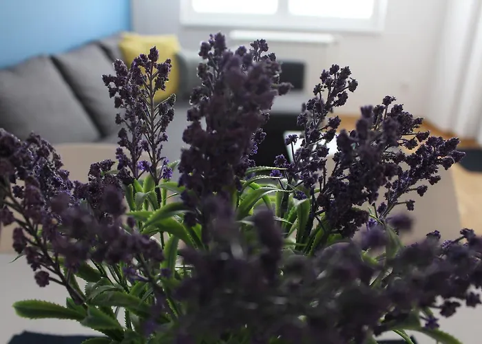 Апартаменти 2 *